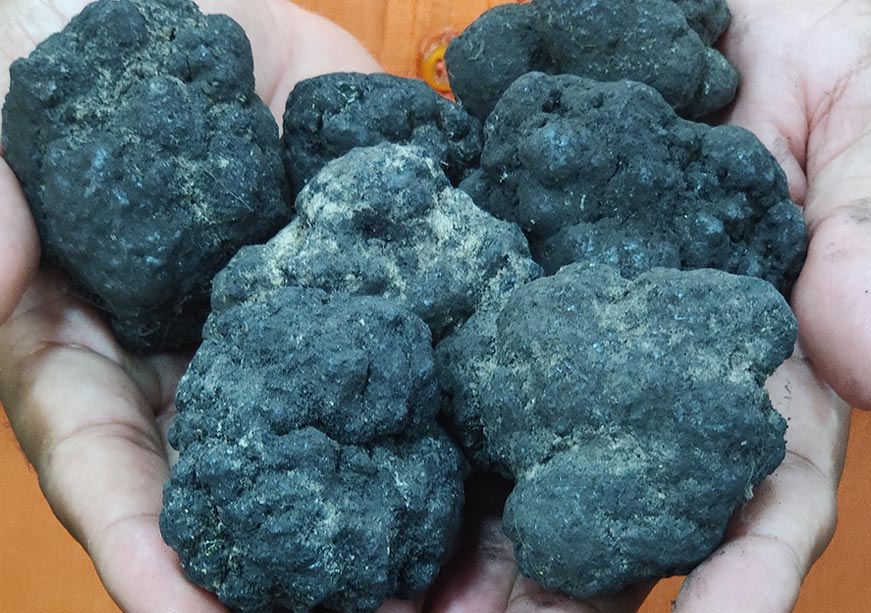 Addressing the Critical Minerals conundrum: Pathways for the India-France-UAE Trilateral