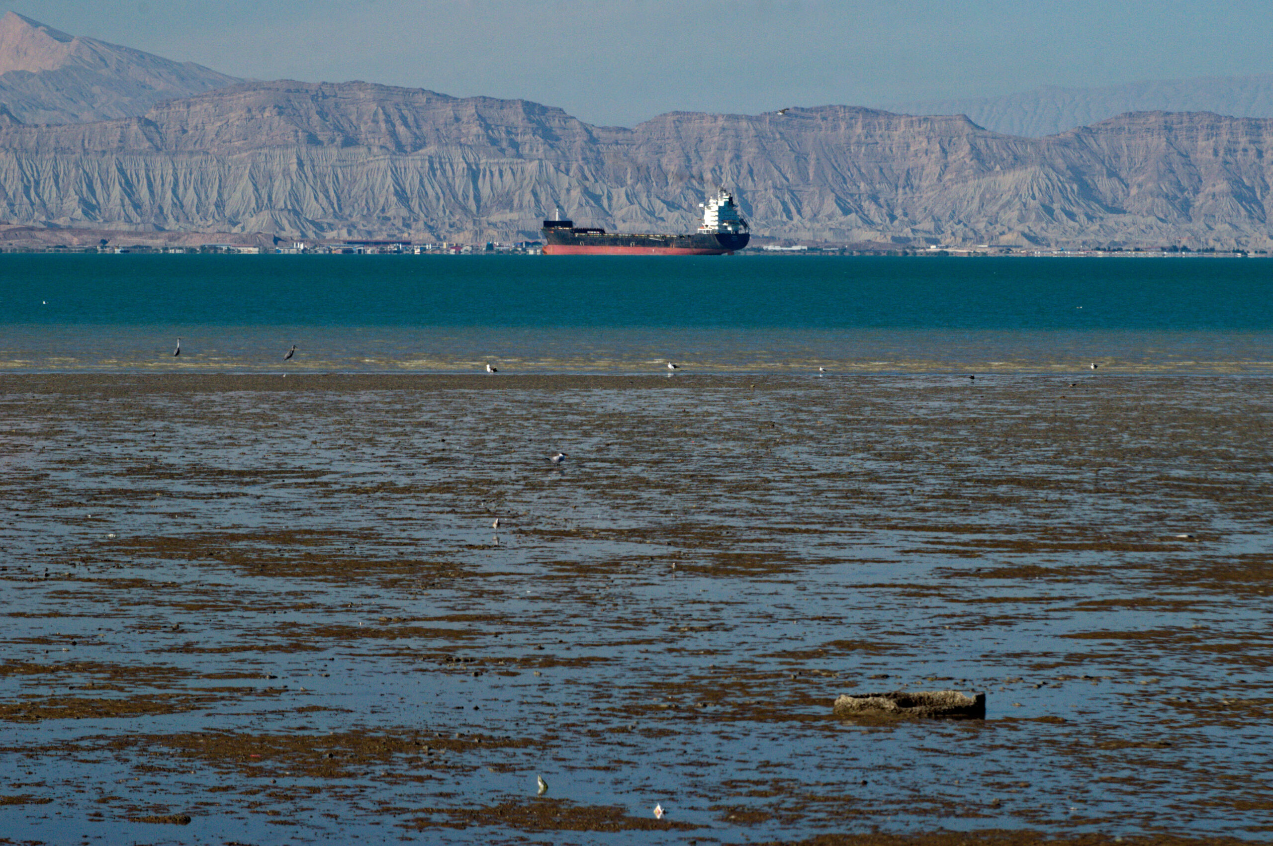 Energy Security as Risk: As Tensions Mount in the Strait of Hormuz