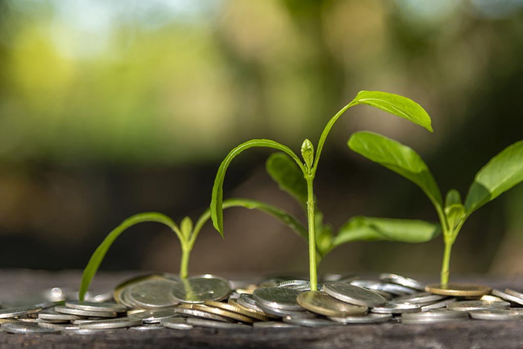 Building a Forest-Positive Economy: Understanding the Tropical Forest Forever Facility