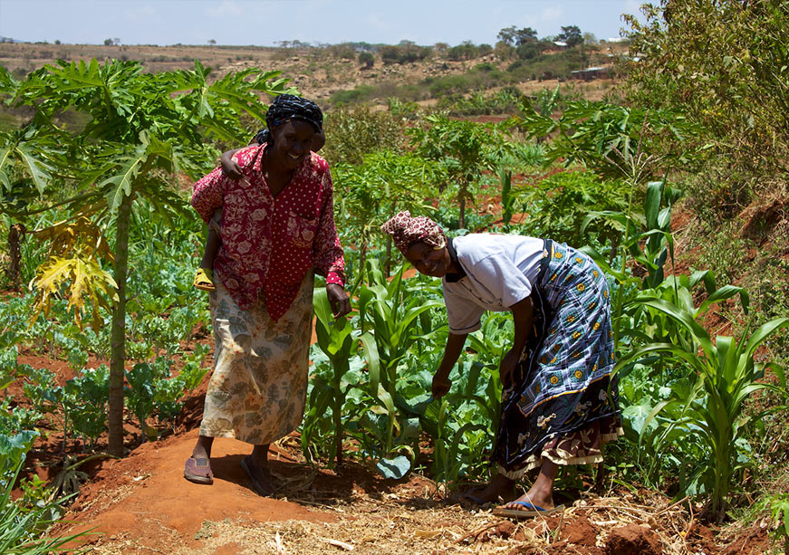 Climate Resilience in CSIDS: The Case of Smallholder Farmers in the Eastern Caribbean