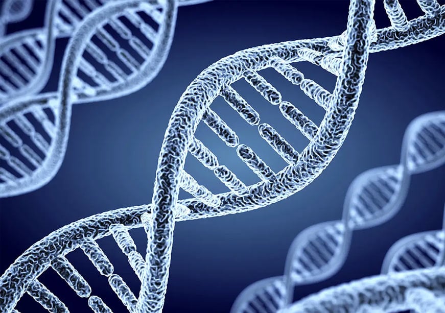 Mirror Biology: Governing the Next Frontier of Life Sciences