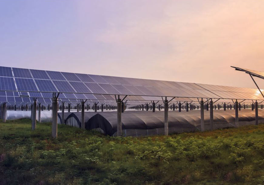 Dual-Use, Triple Gain: Scaling Agrivoltaics in MENA