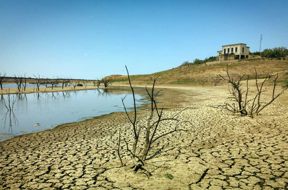 Membrane Innovation in Desalination: Redefining Water Security in the MENA Region