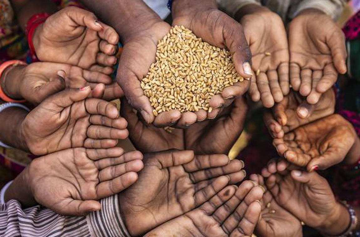 Resilient Food Systems Beyond Inorganic Fertiliser Reliance