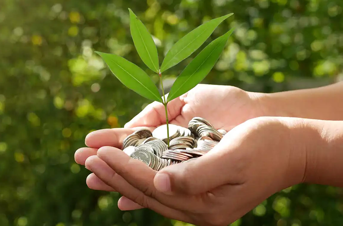 Foreign Exchange Risk and Its Implications for India’s Green Financing