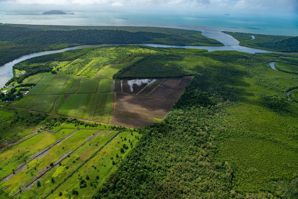Harnessing Land–Climate–Biodiversity Synergies at the 2026 Triple COP